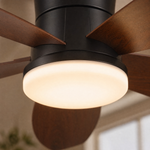 Ceiling Fan 6666