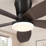 Ceiling Fan 6666