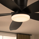 Ceiling Fan 6666