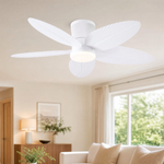 Ceiling Fan 6669