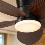 Ceiling Fan 6669