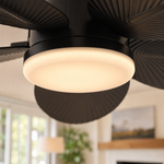 Ceiling Fan 6669