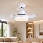 Ceiling Fan 6688 6689
