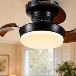 Ceiling Fan 6688 6689