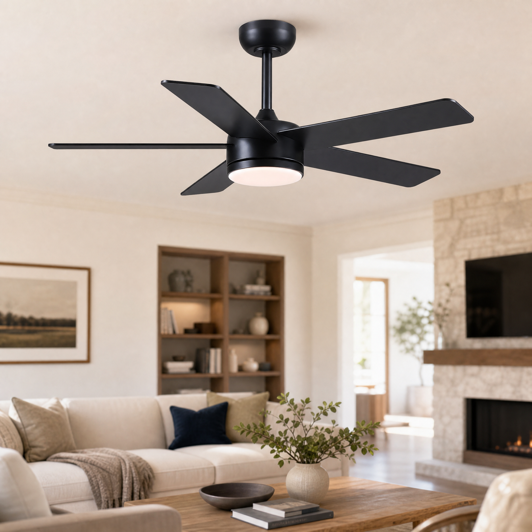 Ceiling Fan 8228