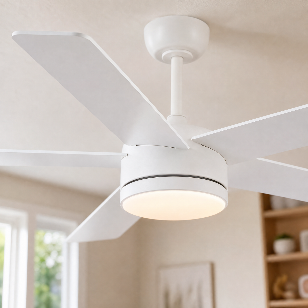 Ceiling Fan 8236