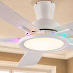 Ceiling Fan 8240