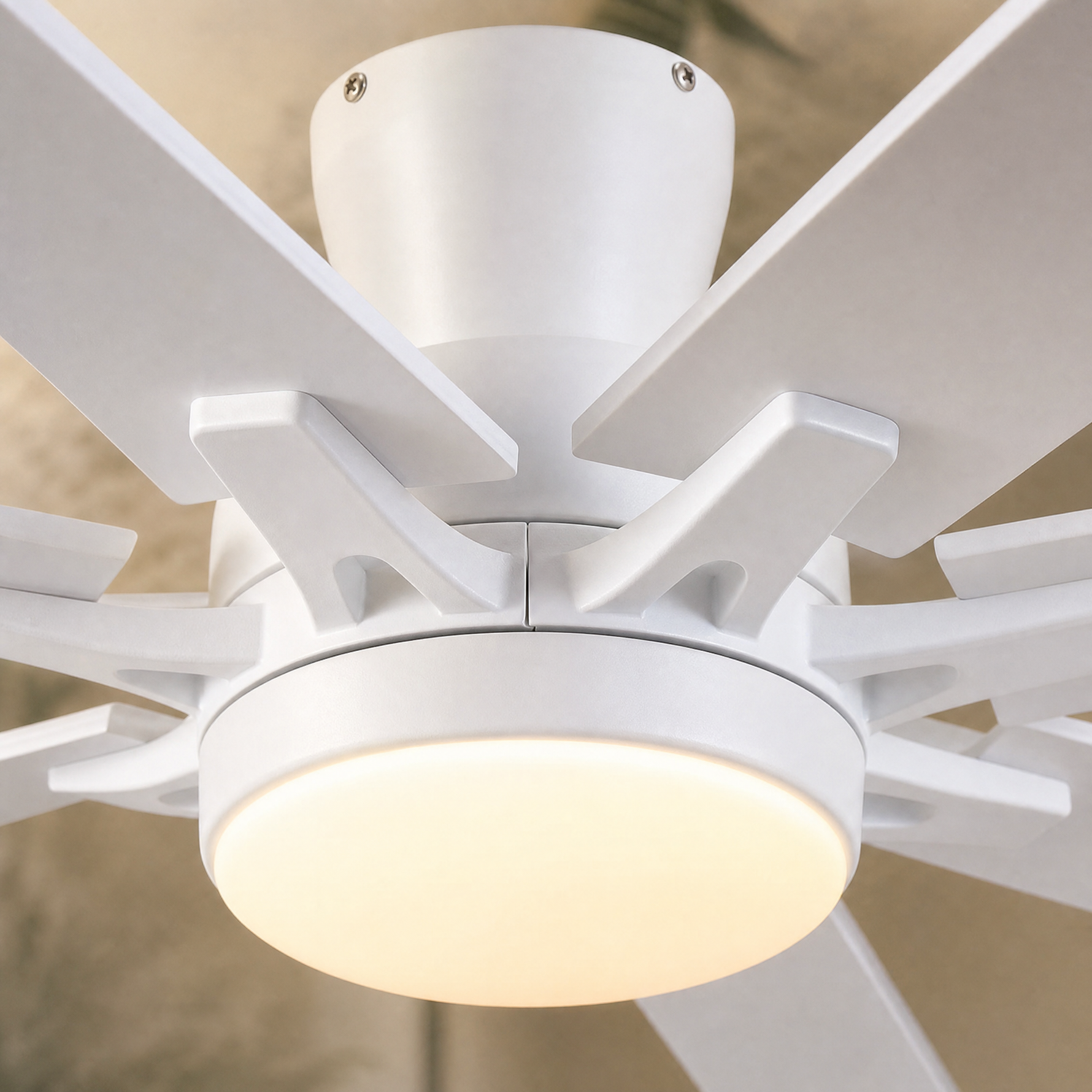 Ceiling Fan 8248
