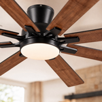 Ceiling Fan 8248