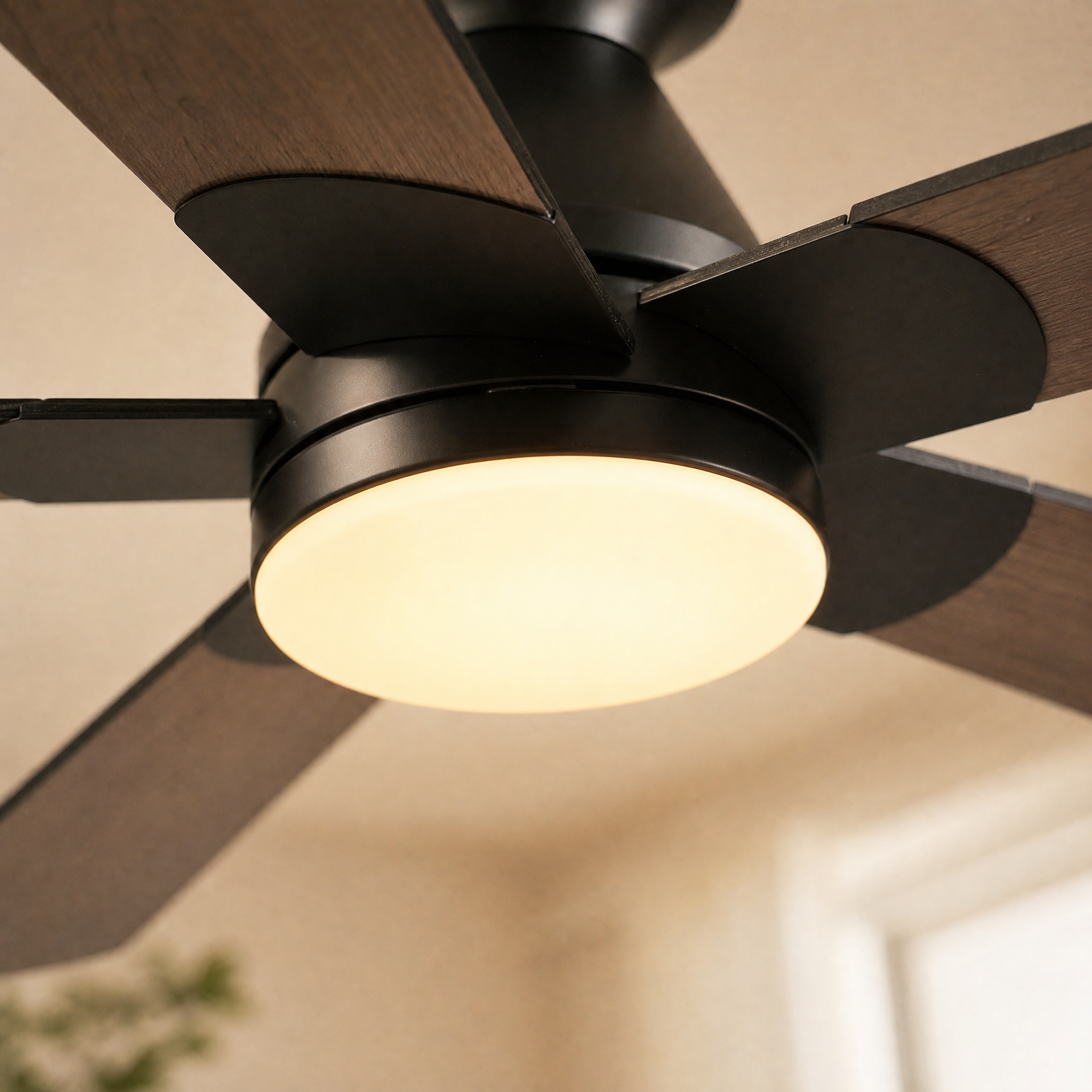 Ceiling Fan 8311