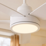 Ceiling Fan 8502