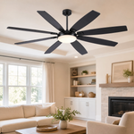 Ceiling Fan 8889