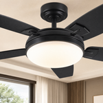 Ceiling Fan 8899