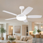 Ceiling Fan 8899