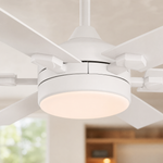 Ceiling Fan 8900