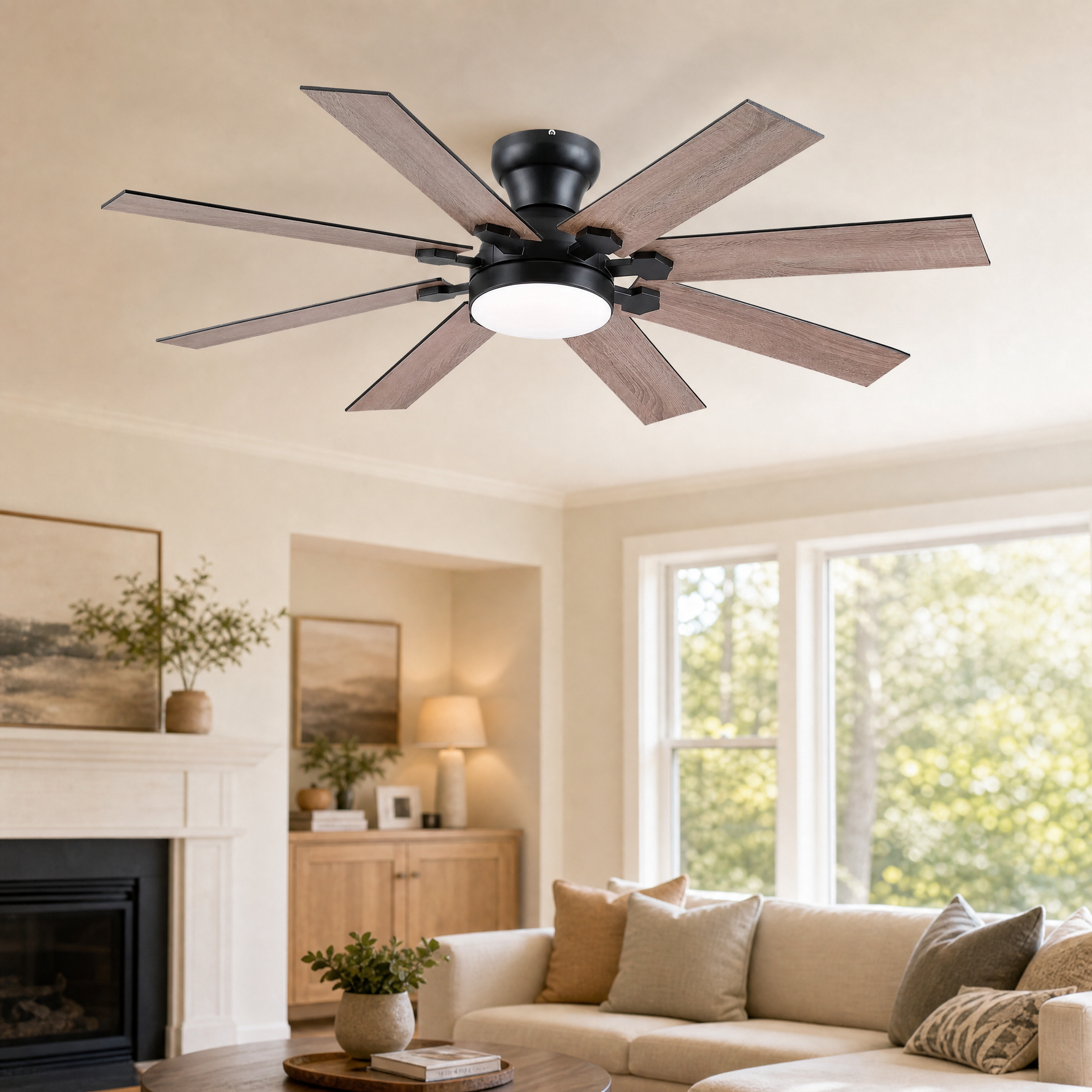 Ceiling Fan 8900