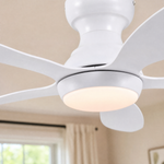 Ceiling Fan 8901