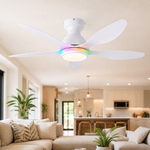 Ceiling Fan 8901