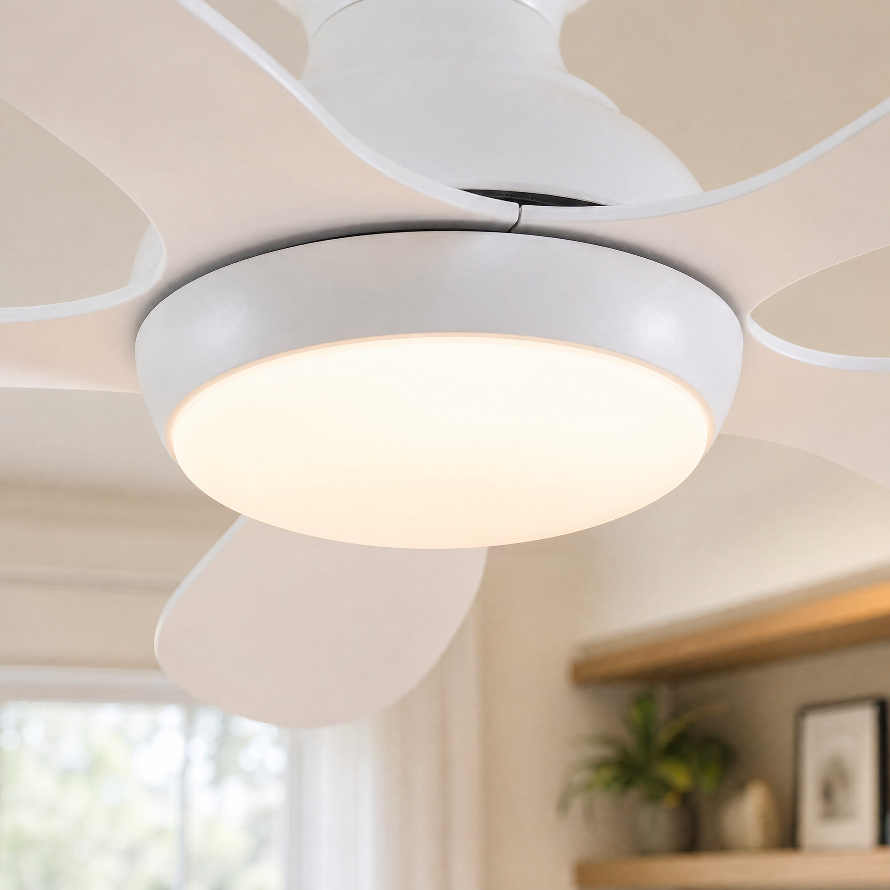 Ceiling Fan 8901