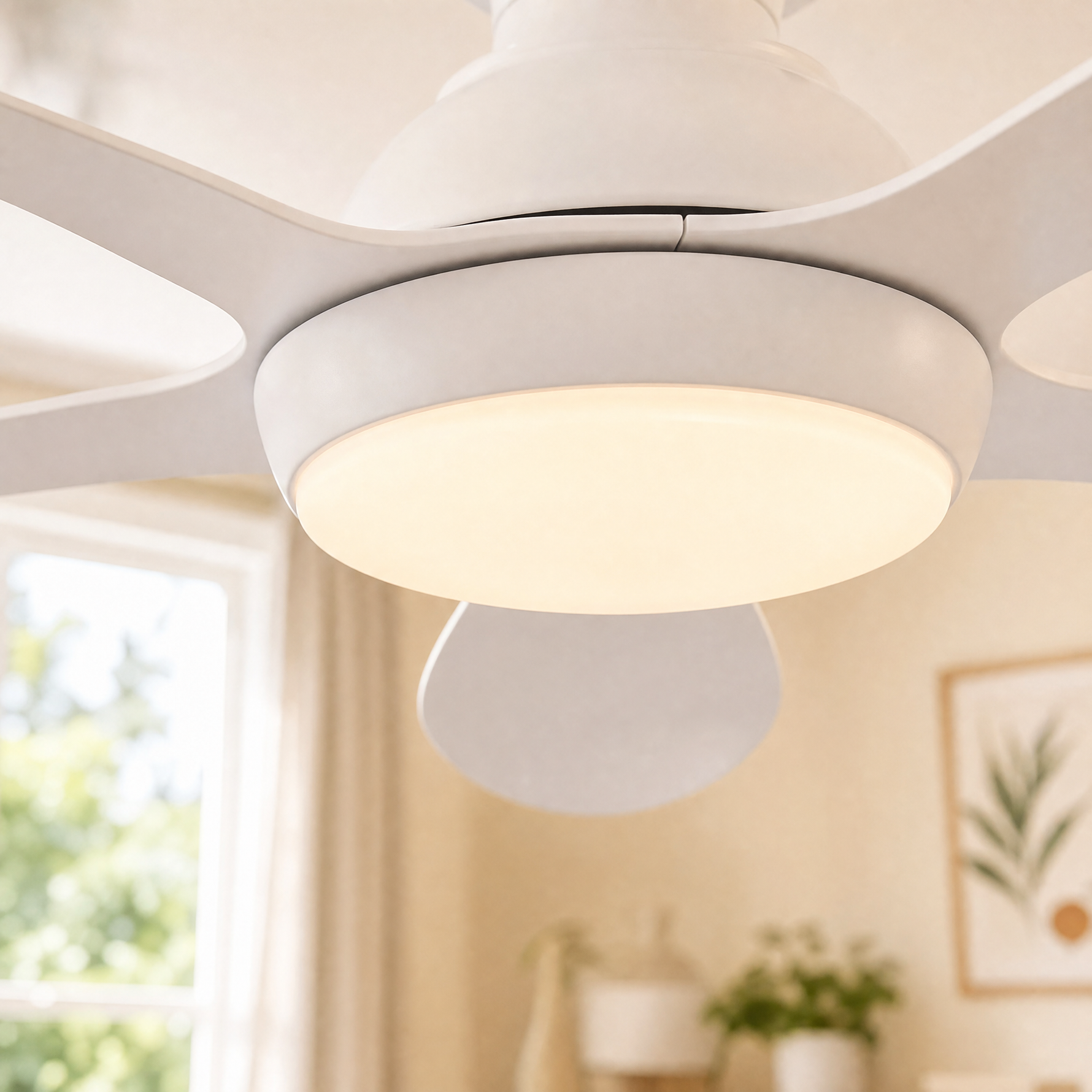 Ceiling Fan 8901