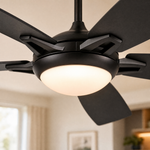 Ceiling Fan 8903