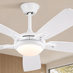 Ceiling Fan 8903