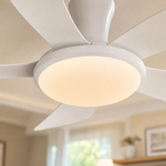 Ceiling Fan 8907
