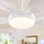 Ceiling Fan 8909