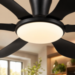 Ceiling Fan 8912