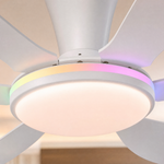 Ceiling Fan 8912