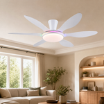 Ceiling Fan 8912