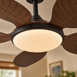 Ceiling Fan 8916