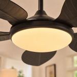 Ceiling Fan 8916
