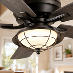 Ceiling Fan A5013