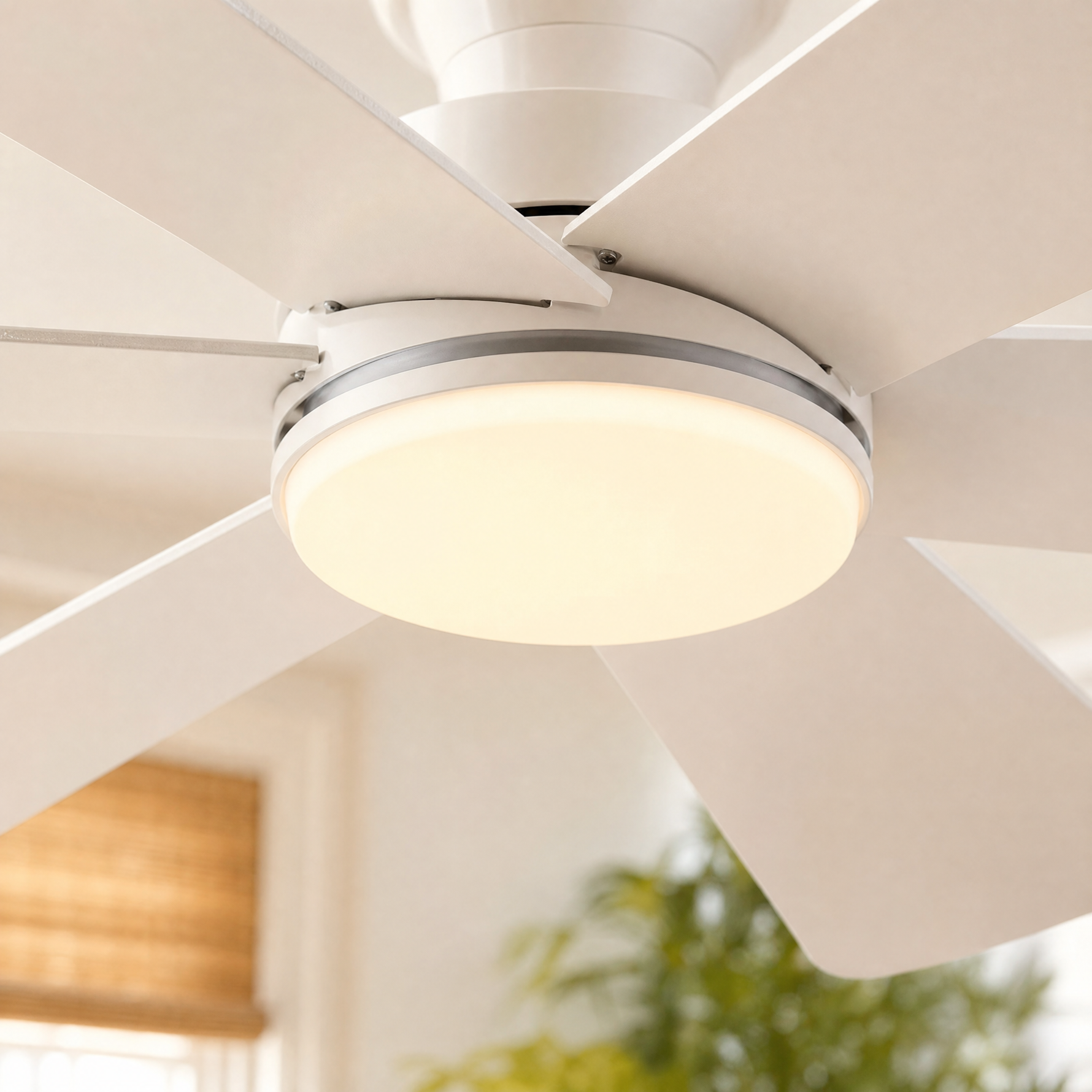 Ceiling Fan B8503