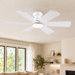Ceiling Fan B8503