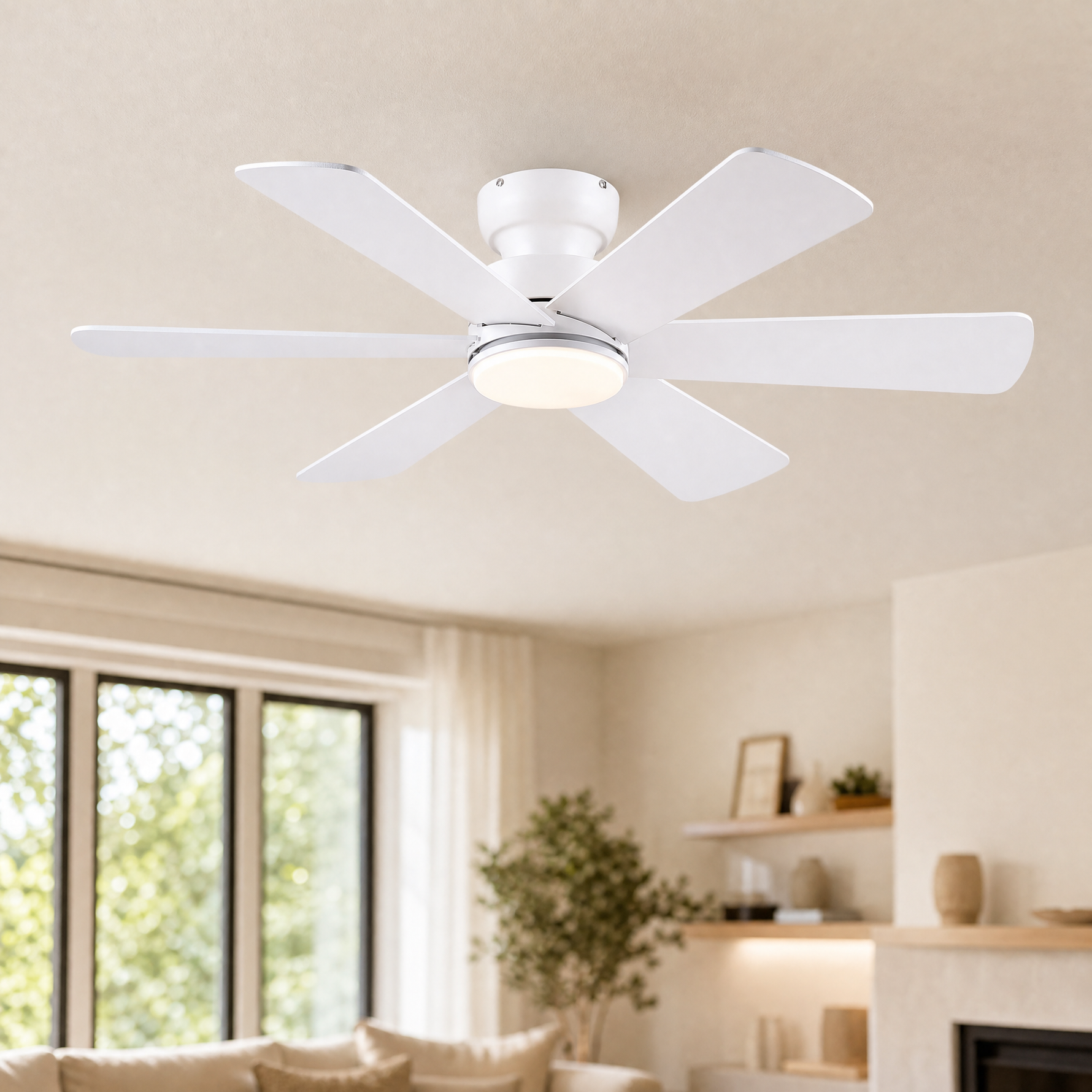 Ceiling Fan B8503