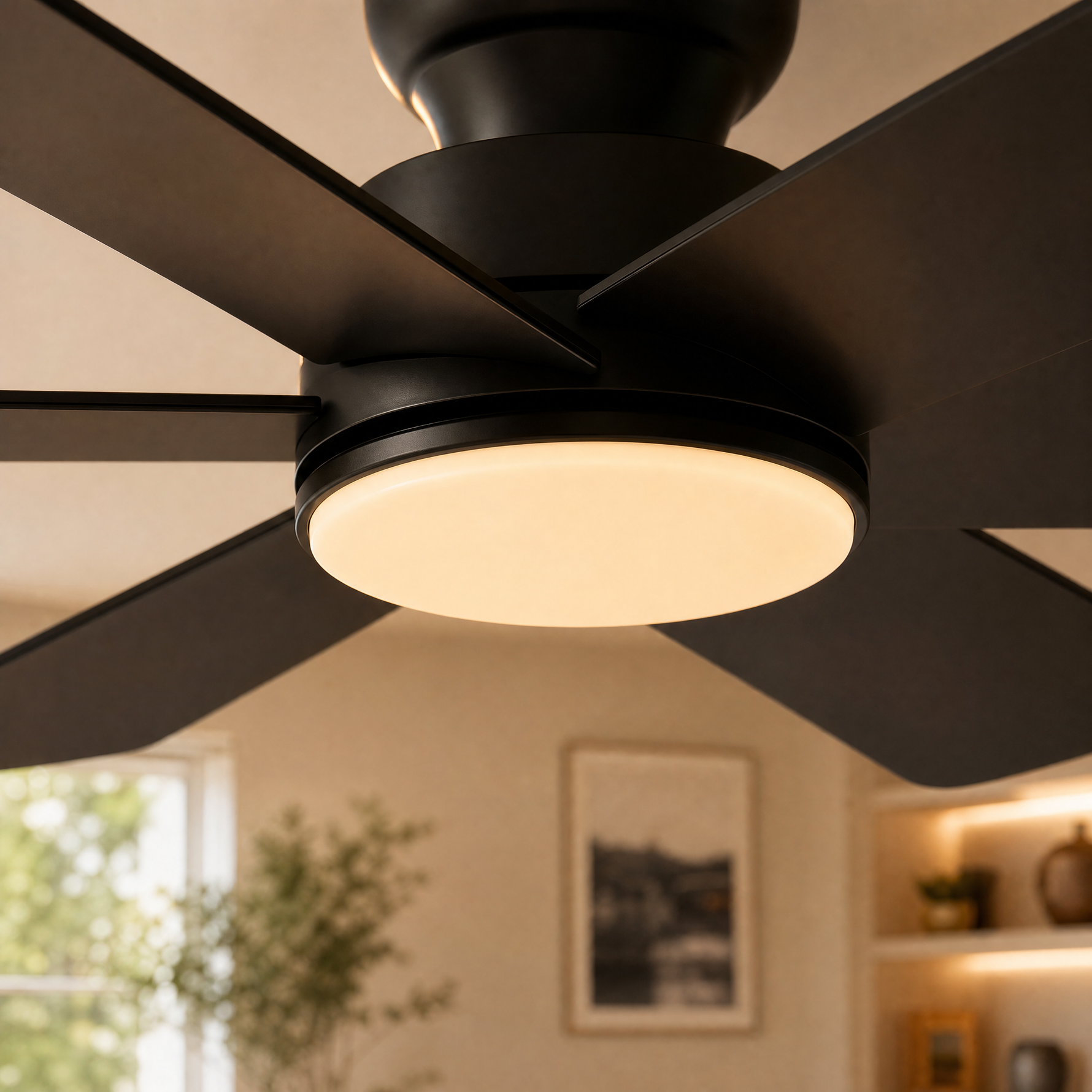 Ceiling Fan B8503