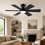 Ceiling Fan B8503