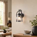 Farmhouse Matte Black Steel Seeded Glass Globe Wall Sconce