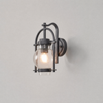 Farmhouse Matte Black Steel Seeded Glass Globe Wall Sconce