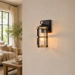 Industrial Matte Black Caged Seeded Glass Outdoor Wall Sconce