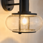 Matte Black Steel and Glass Dome Outdoor Wall Sconce