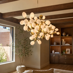 Modern Chandelier Natural Brass Metal Frosted Glass for Dining Room