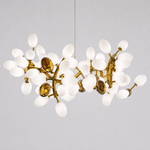 Modern Round Chandelier Grape Cluster Brass Metal Frosted Glass for Dining Room Living Room