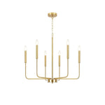Monroe Polished Gold Modern Chandelier with Brass or Black Finish