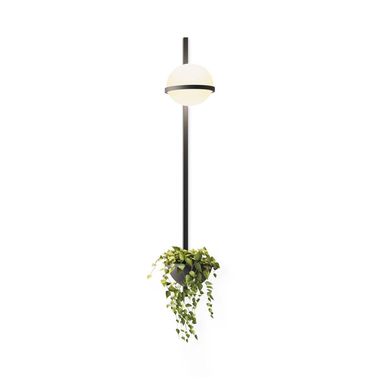 Solstice Wall Light - YIOSI