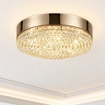 Yiosi Grant Crystal Ceiling Lamp 13.8" D