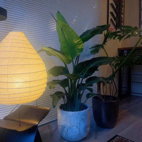 Akari 22N Table Lamp Lamp