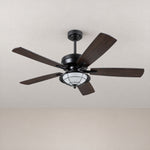 Charcoal Wood Blade Ceiling Fan with Caged LED Dome – lights off
